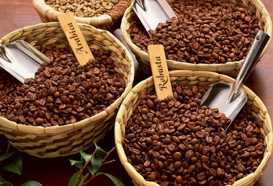 Coffee Wars: Arabica vs Robusta? What's the difference?